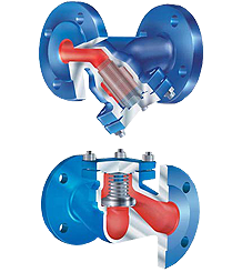 Strainers & Check Valves-Products